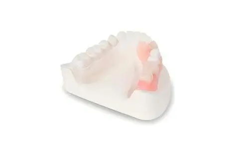 Valplast Dentures Procurement for Multi-Clinic Dental Networks